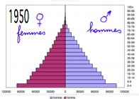 Pyramide des
          ges